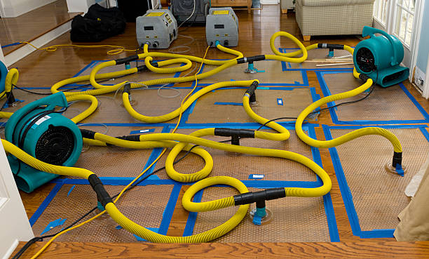 Professional Storm Water Damage Restoration technician working in Englewood, NJ